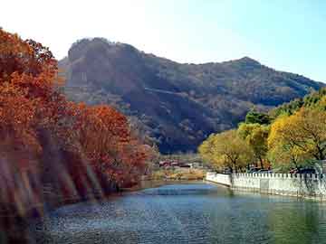 新澳天天开奖资料大全旅游团，美丽飞蓬